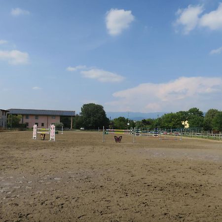Locazione Turistica Villa Domus Magna - UDI301-3 Povoletto Esterno foto