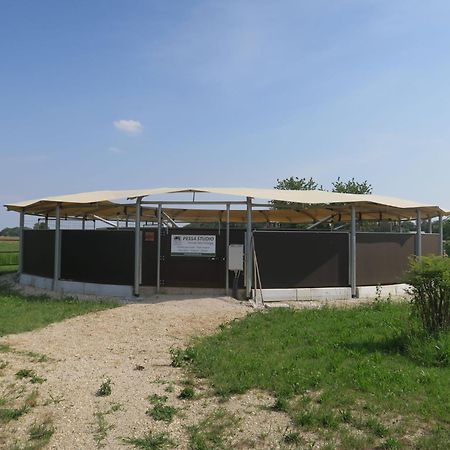 Locazione Turistica Villa Domus Magna - UDI301-3 Povoletto Esterno foto